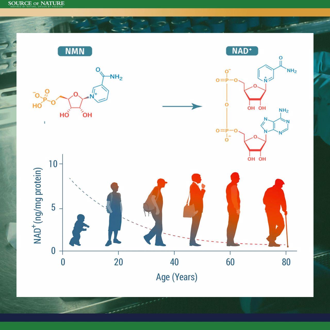 β-Nicotinamide-Mononucleotide (Uthever® 2. Gen NMN) - Source of Nature