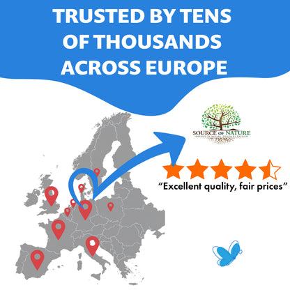 L-Theanine 500 mg – 180 Vegan Capsules – High Strength Amino Acid from Green Tea | 3-Month Supply | 98% Pure, No Additives