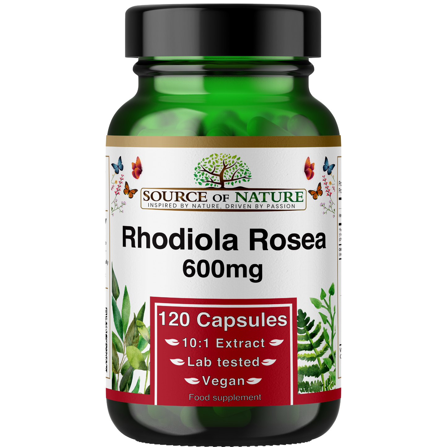 Rhodiola Rosea Extract 600mg | 120 Capsules | 4 Month Supply
