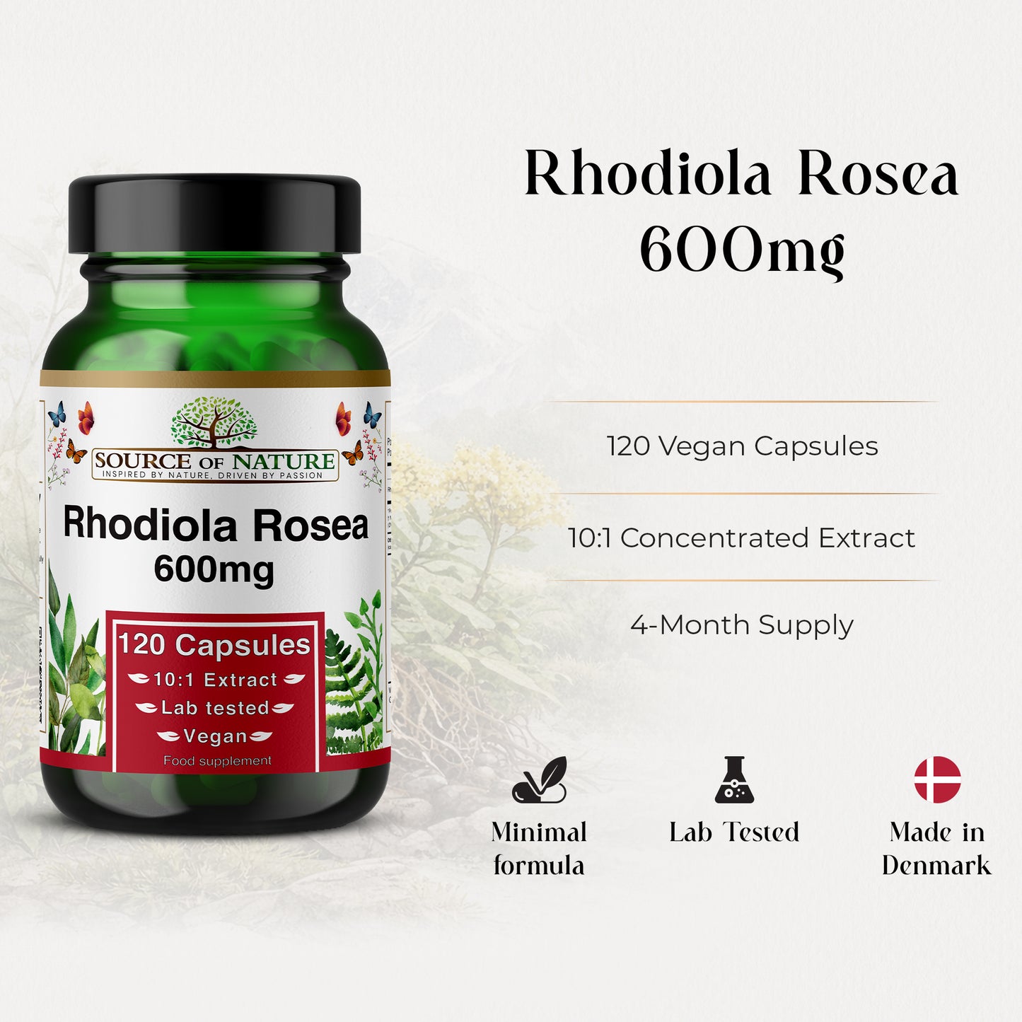 Rhodiola Rosea Extract 600mg | 120 Capsules | 4 Month Supply