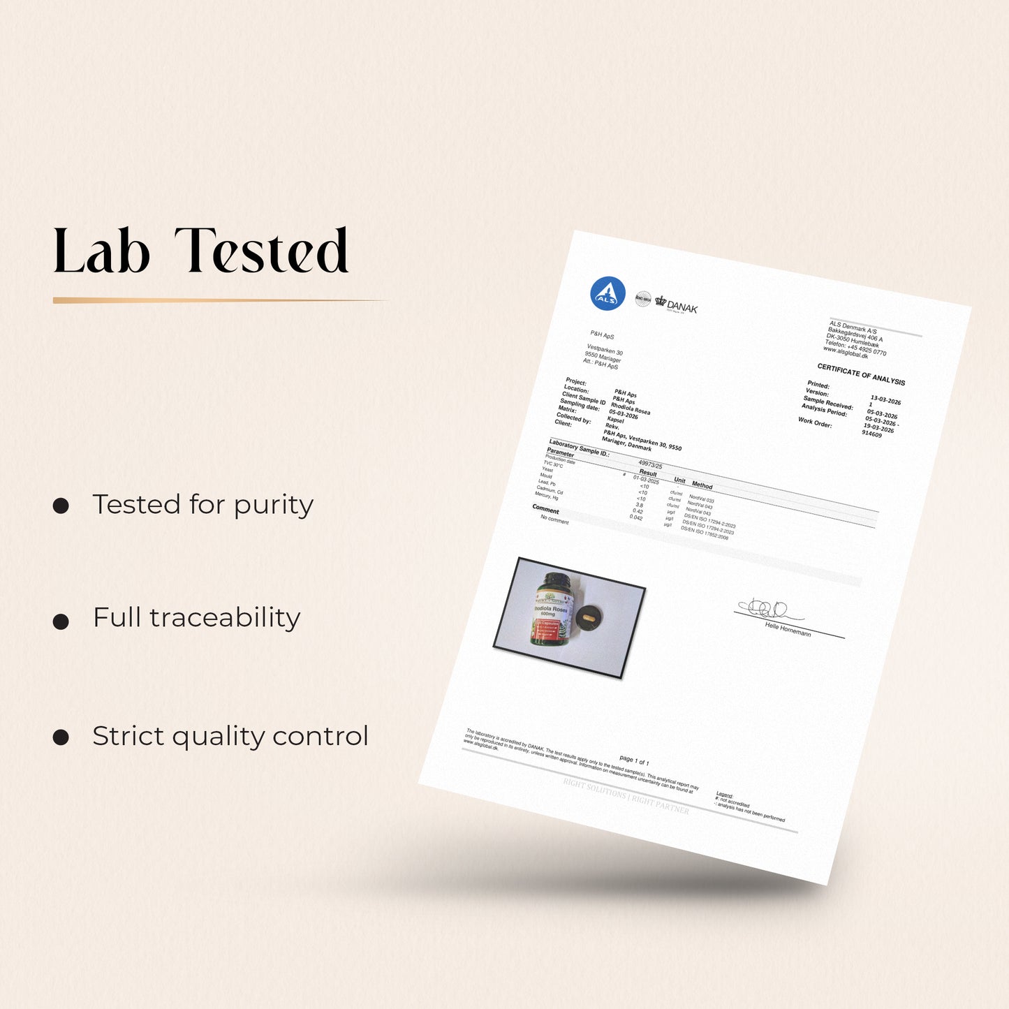 Rhodiola Rosea Extract 600mg | 120 Capsules | 4 Month Supply