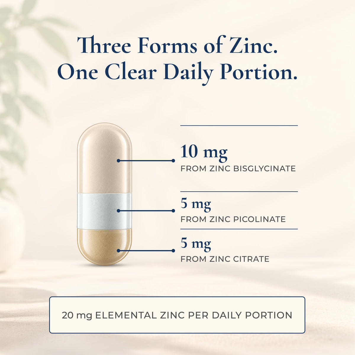 Zinc Complex 20mg | 60 Capsules | 2-Month Supply