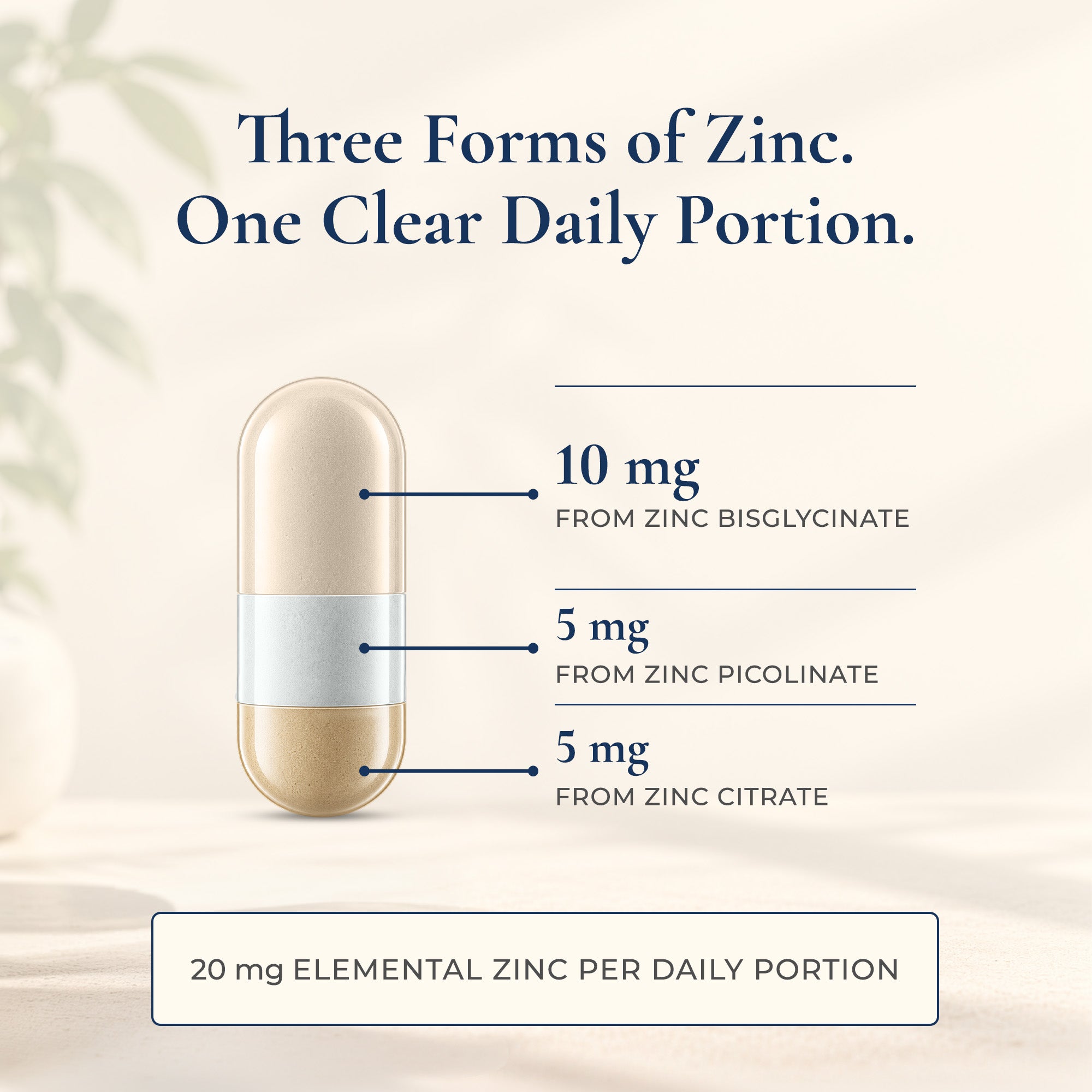 Zinc Complex 20mg | 60 Capsules | 2-Month Supply