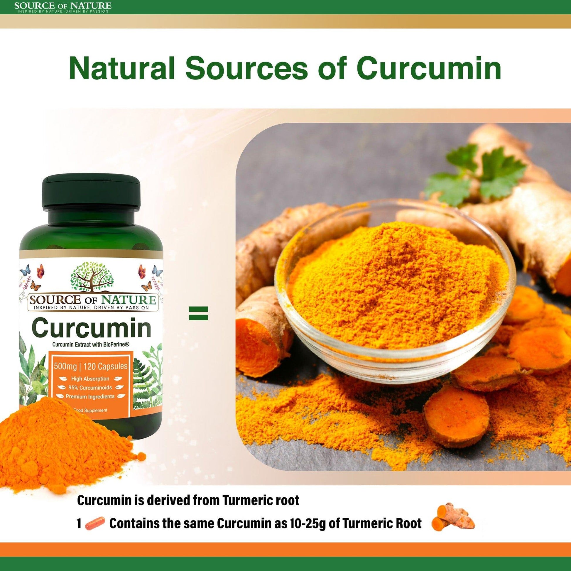 Curcumin 500mg | 120 Capsules | 4-Month Supply - Source of Nature