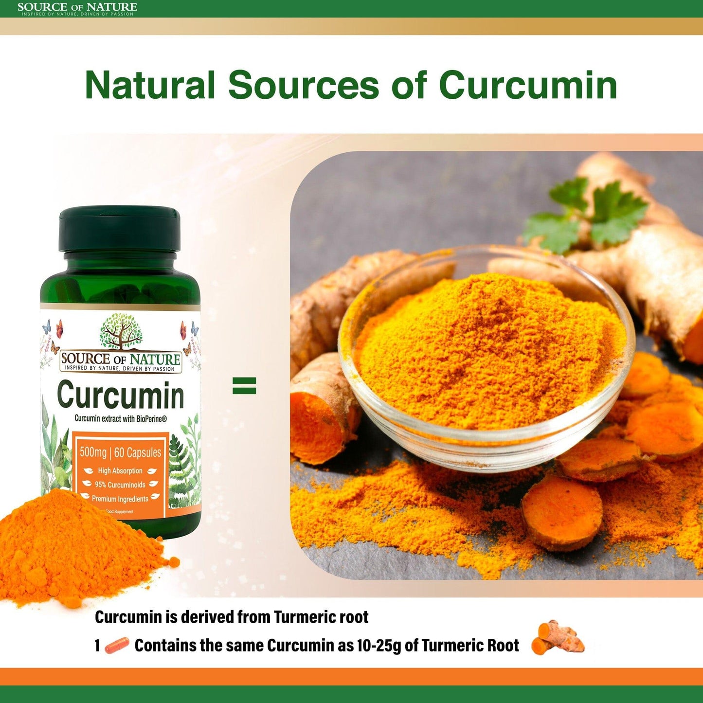 Curcumin 500mg | 60 Capsules | 2-Month Supply - Source of Nature